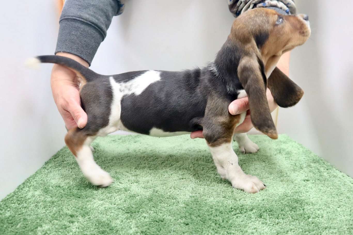 ご家族様が決まりました♪