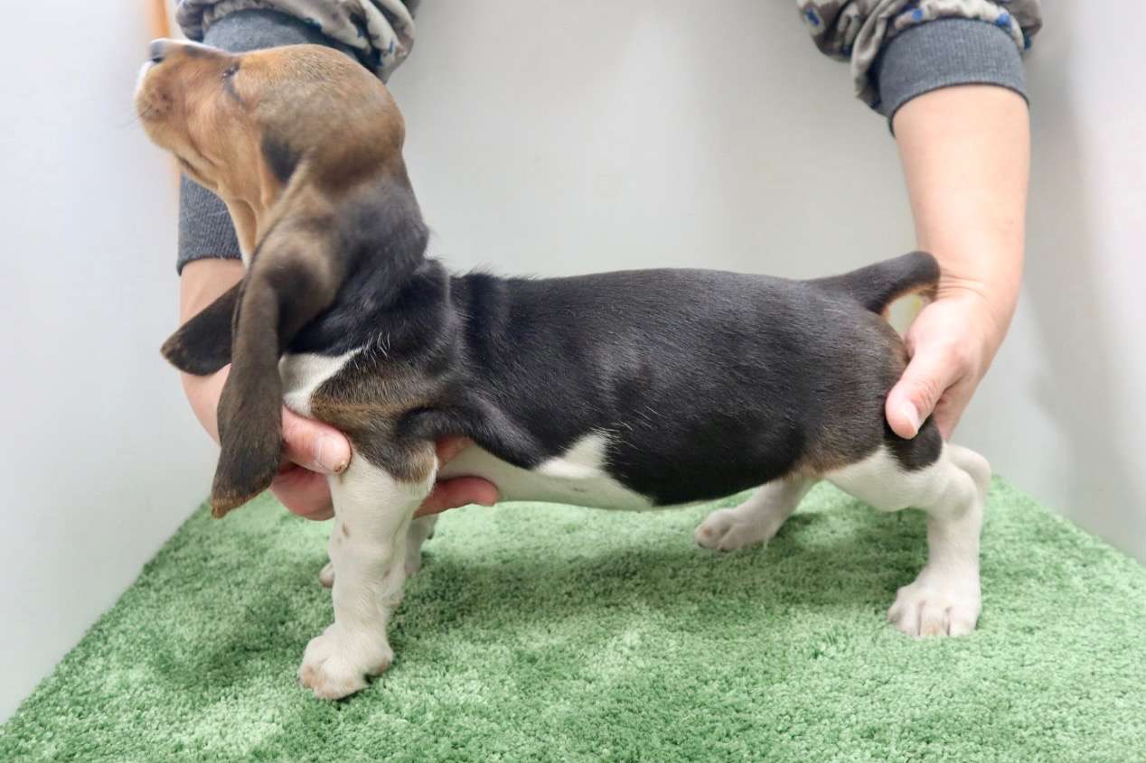 ご家族様が決まりました♪