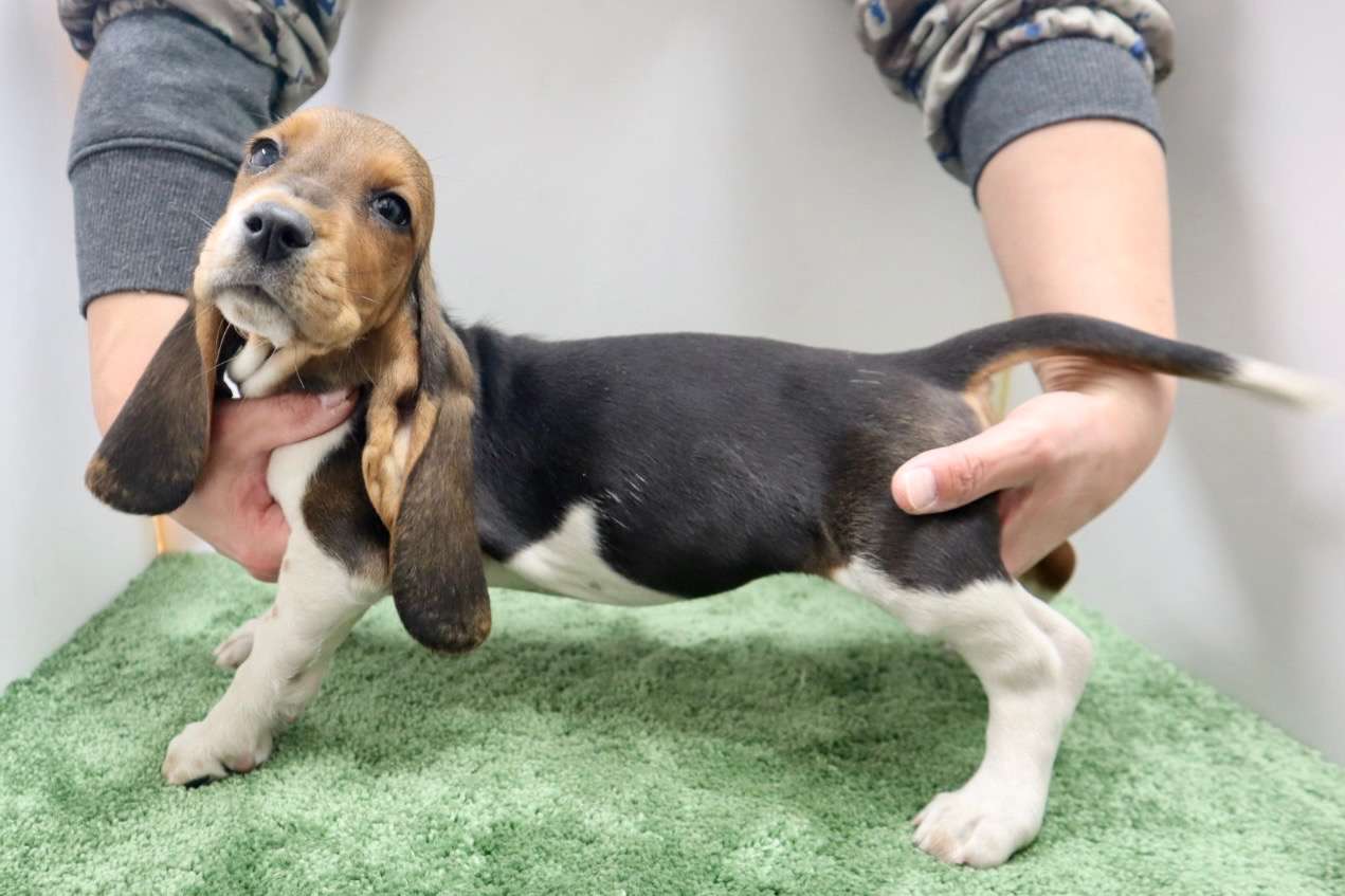 ご家族様が決まりました♪