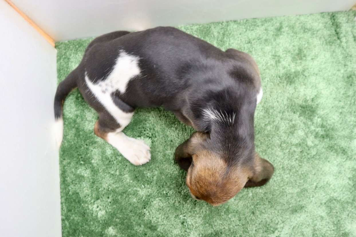 ご家族様が決まりました♪