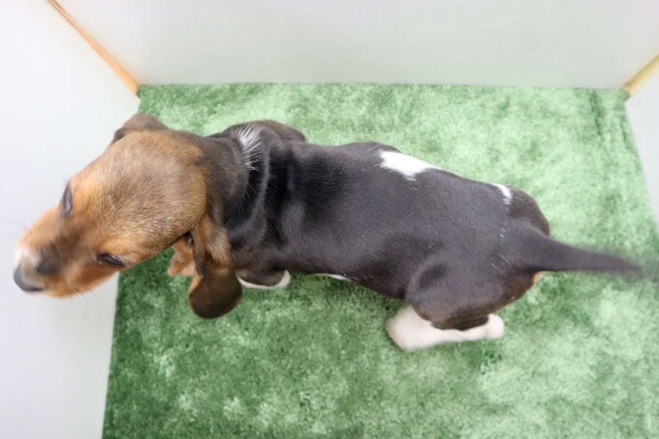 ご家族様が決まりました♪