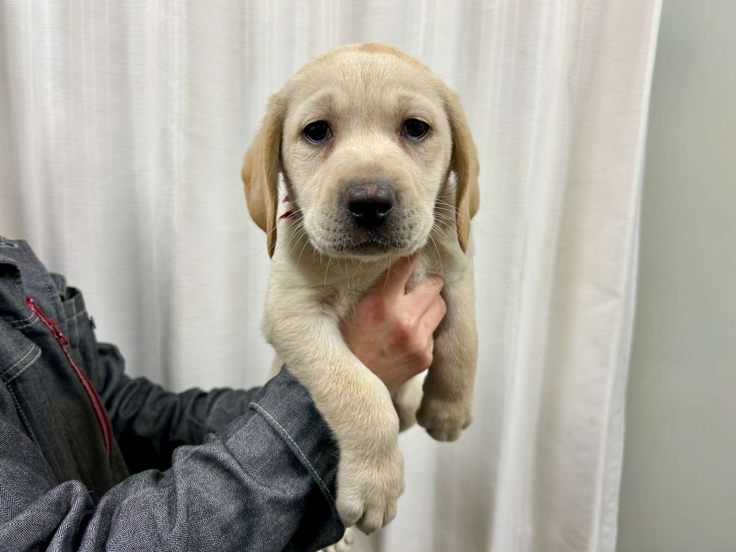 ご家族様が決まりました♪