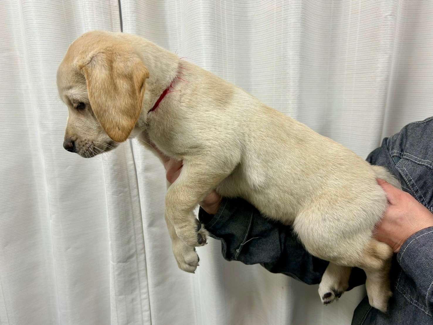 ご家族様が決まりました♪