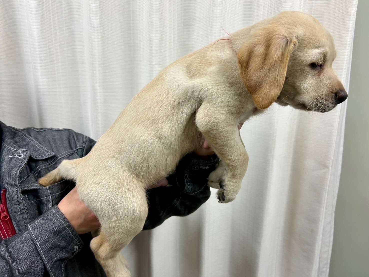 ご家族様が決まりました♪