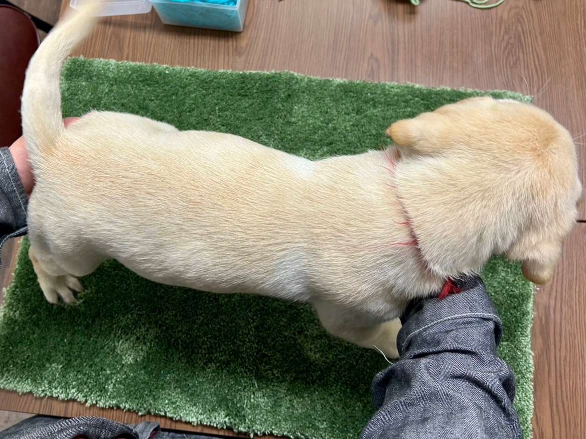 ご家族様が決まりました♪