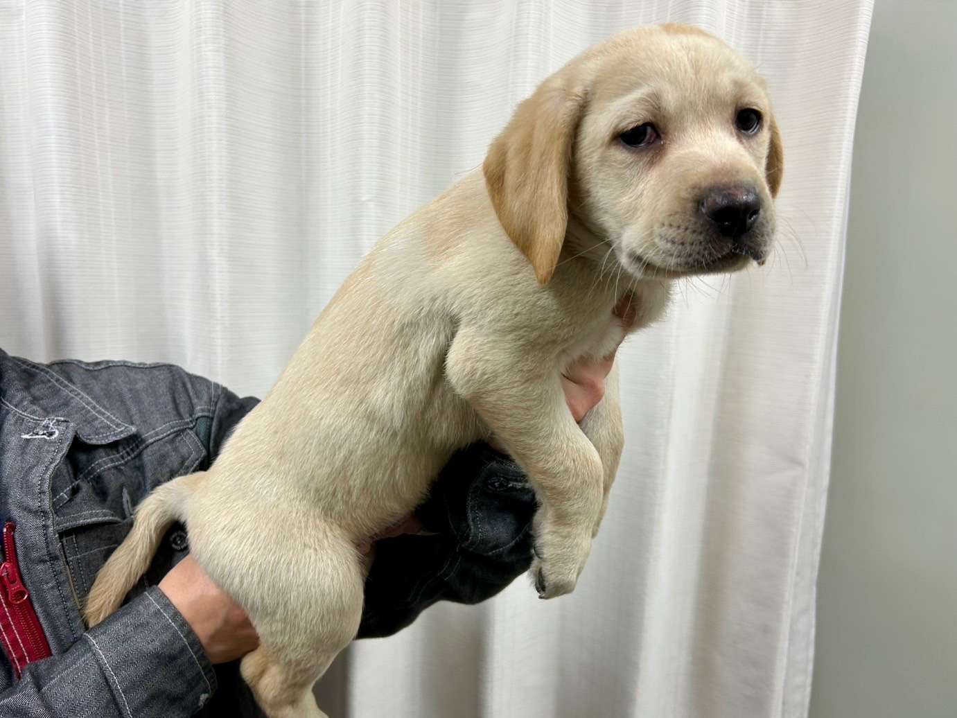 ご家族様が決まりました♪