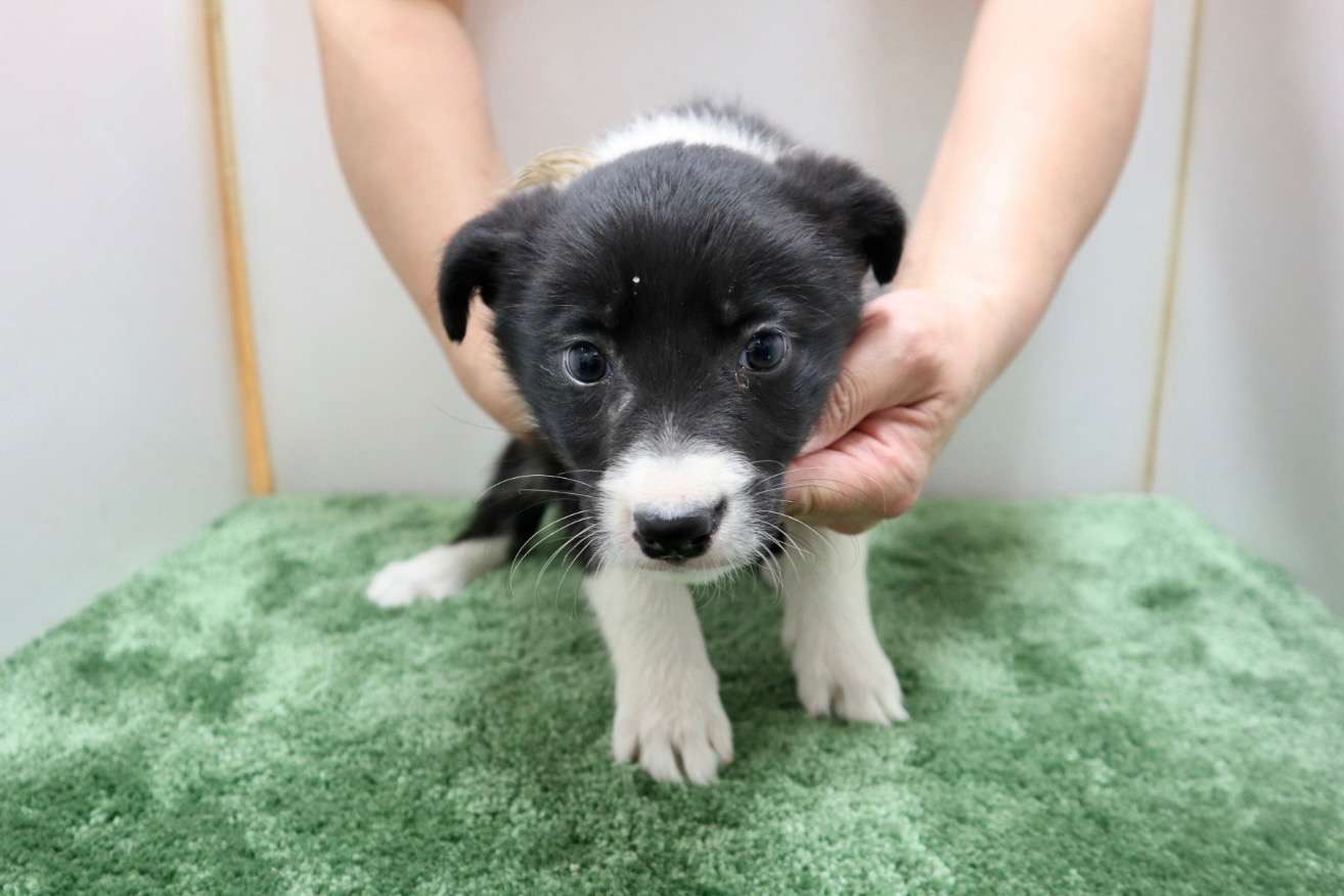 ご家族様が決まりました♪