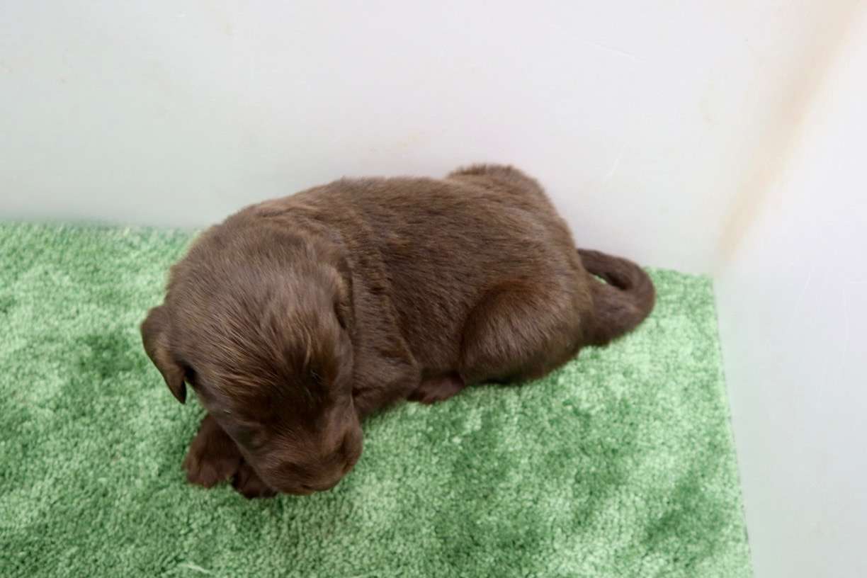 ご家族様が決まりました♪