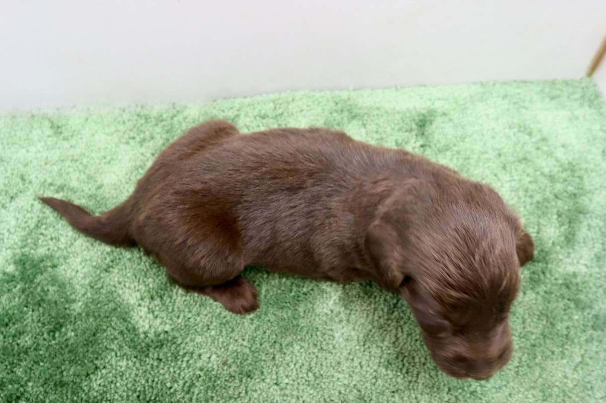 ご家族様が決まりました♪