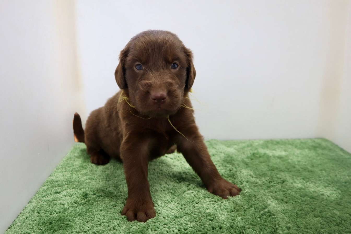 ご家族様が決まりました♪