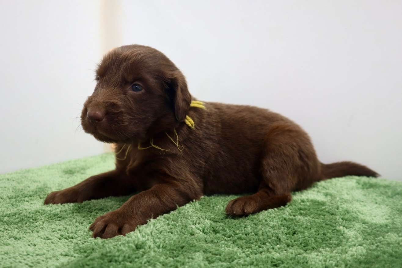 ご家族様が決まりました♪