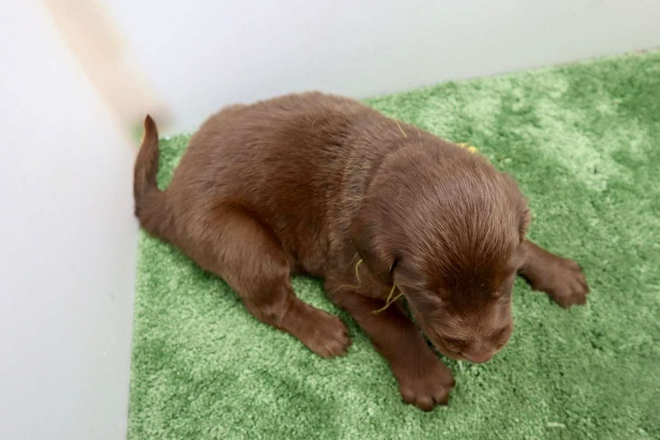 ご家族様が決まりました♪