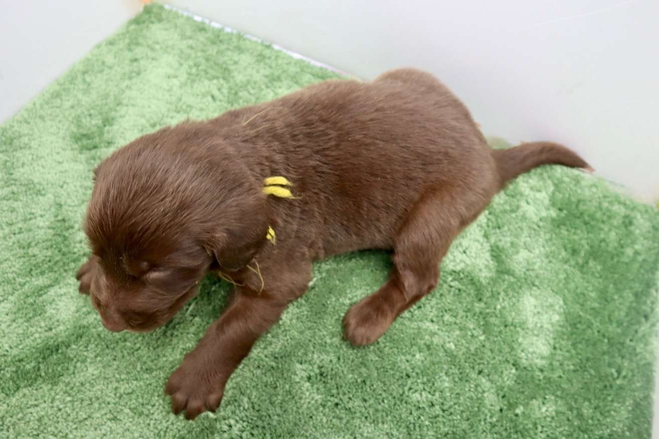 ご家族様が決まりました♪