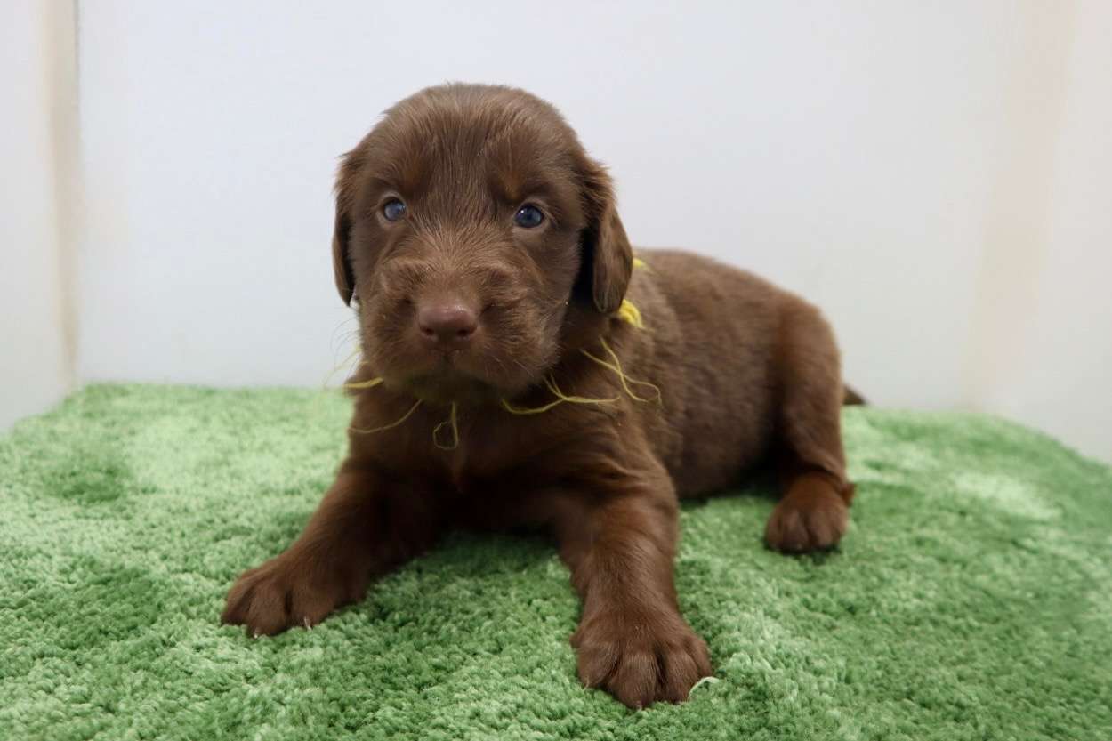 ご家族様が決まりました♪