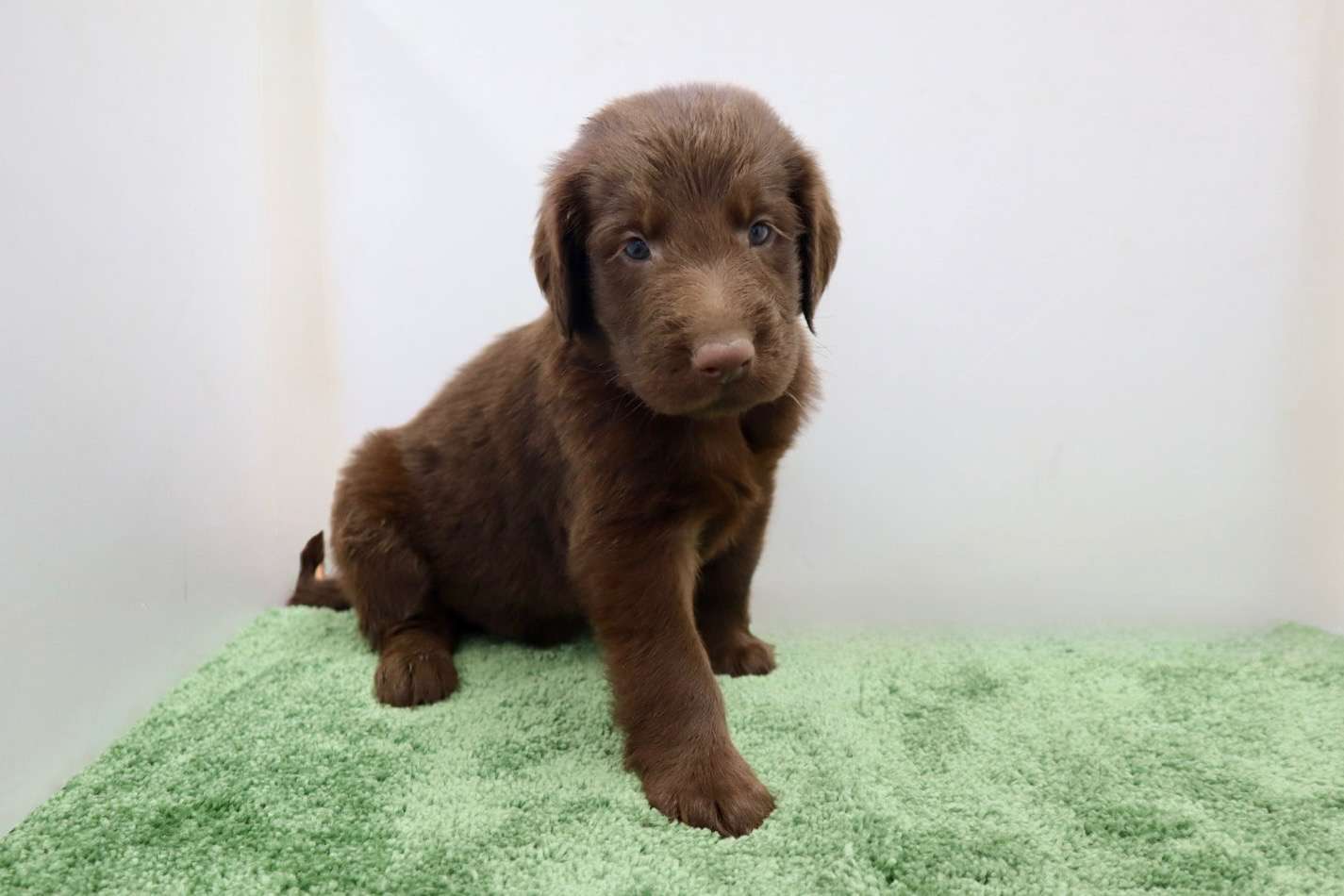 ご家族様が決まりました♪