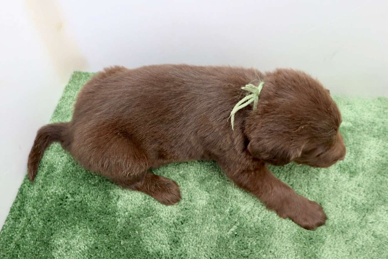 ご家族様が決まりました♪