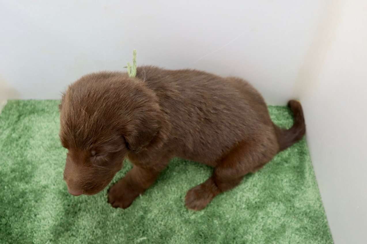 ご家族様が決まりました♪