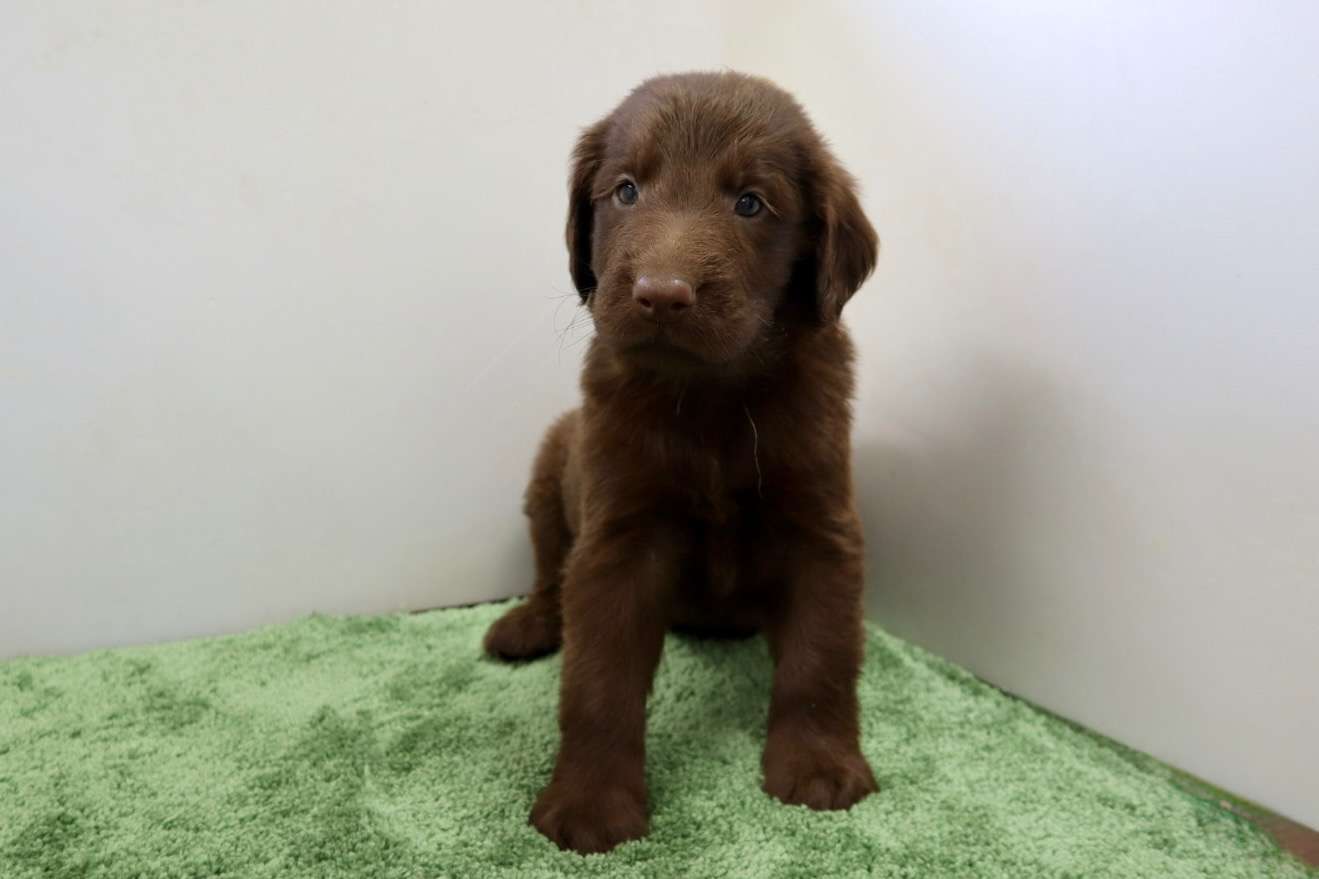 ご家族様が決まりました♪