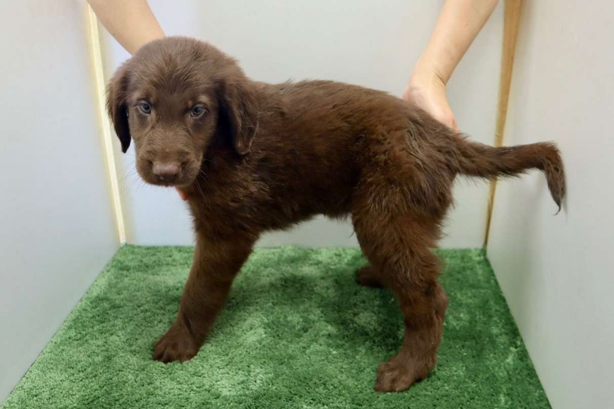 ご家族様が決まりました♪