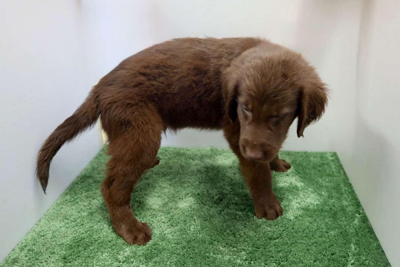 ご家族様が決まりました♪