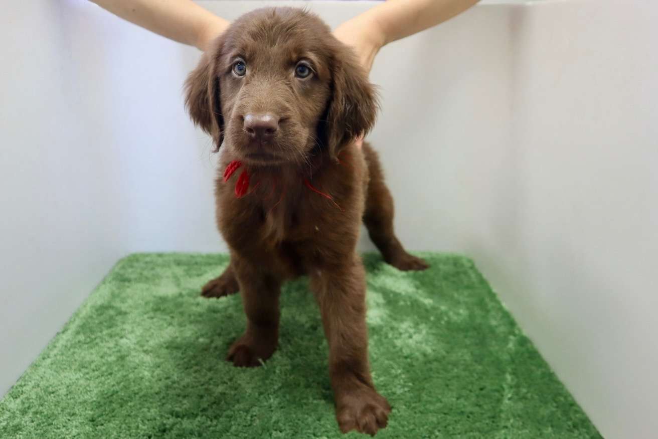 ご家族様が決まりました♪