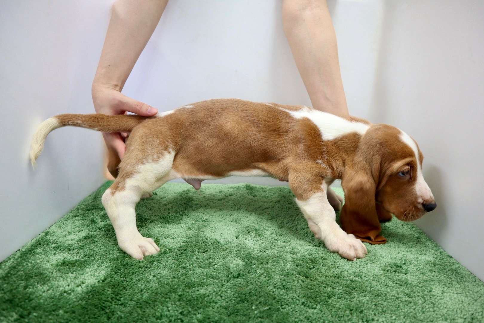 ご家族様が決まりました♪