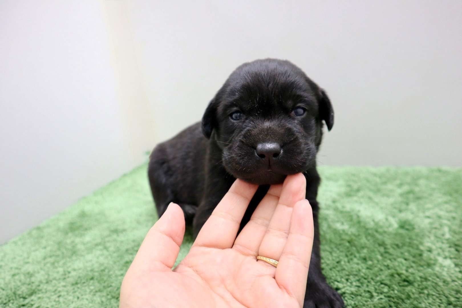 ご家族様が決まりました♪