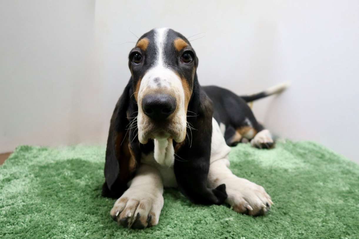 ご家族様が決まりました♪