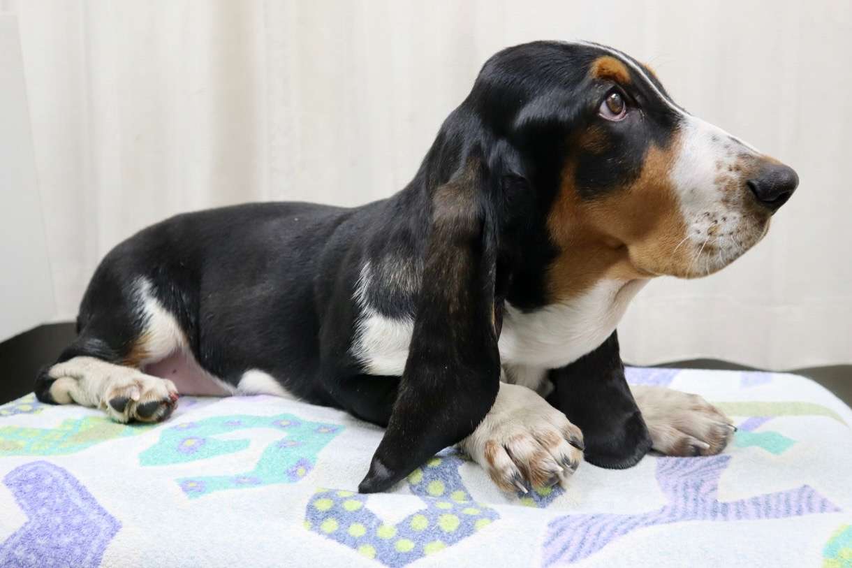 ご家族様が決まりました♪