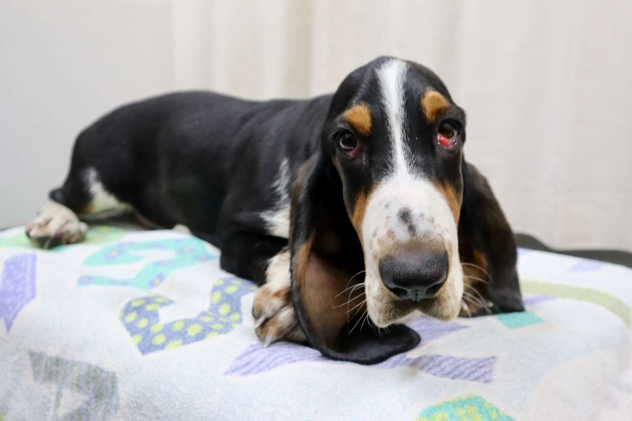 ご家族様が決まりました♪