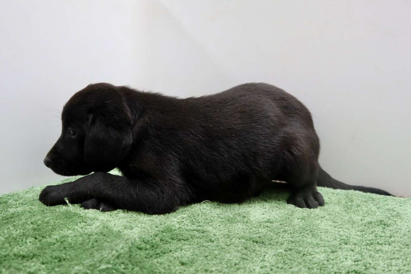 ご家族様が決まりました♪