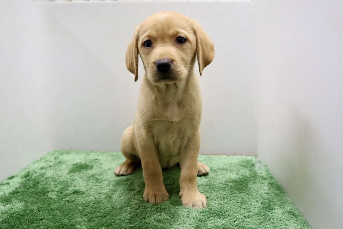 ご家族様が決まりました♪