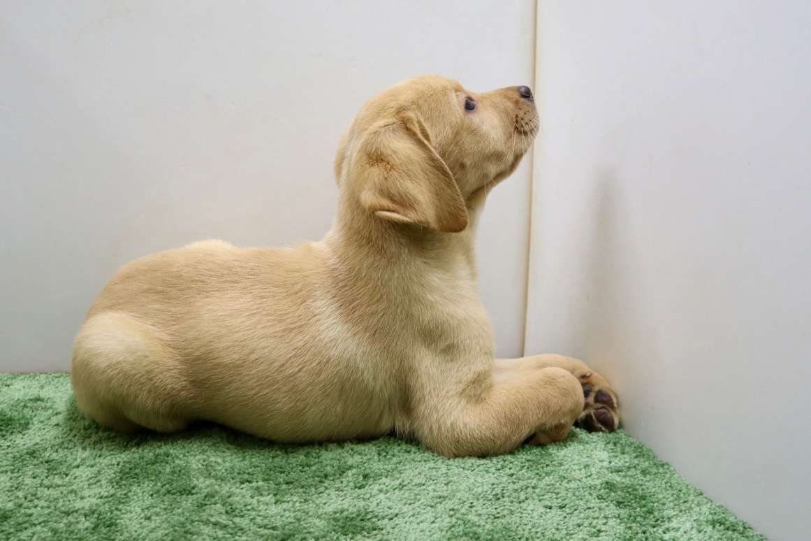 ご家族様が決まりました♪