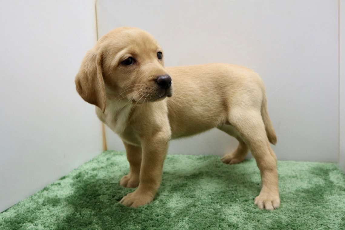 ご家族様が決まりました♪