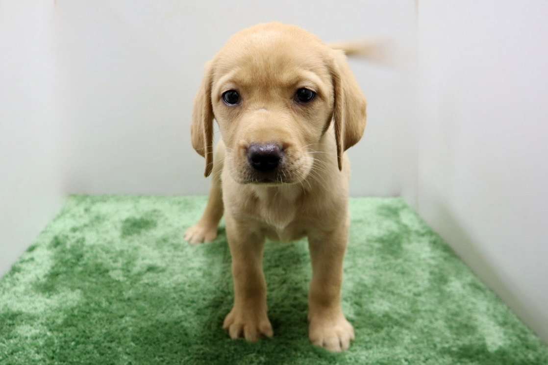 ご家族様が決まりました♪