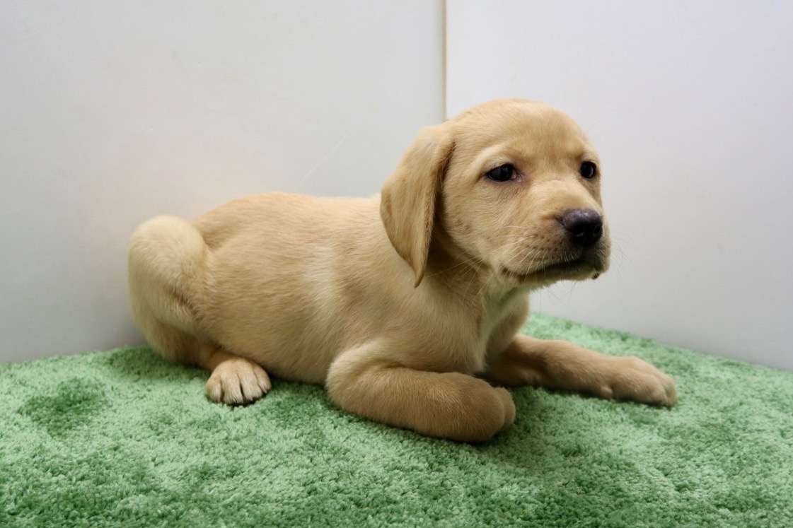 ご家族様が決まりました♪