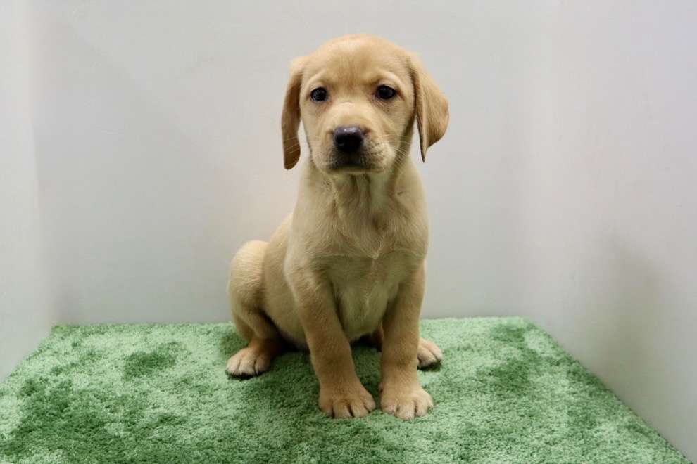 ご家族様が決まりました♪