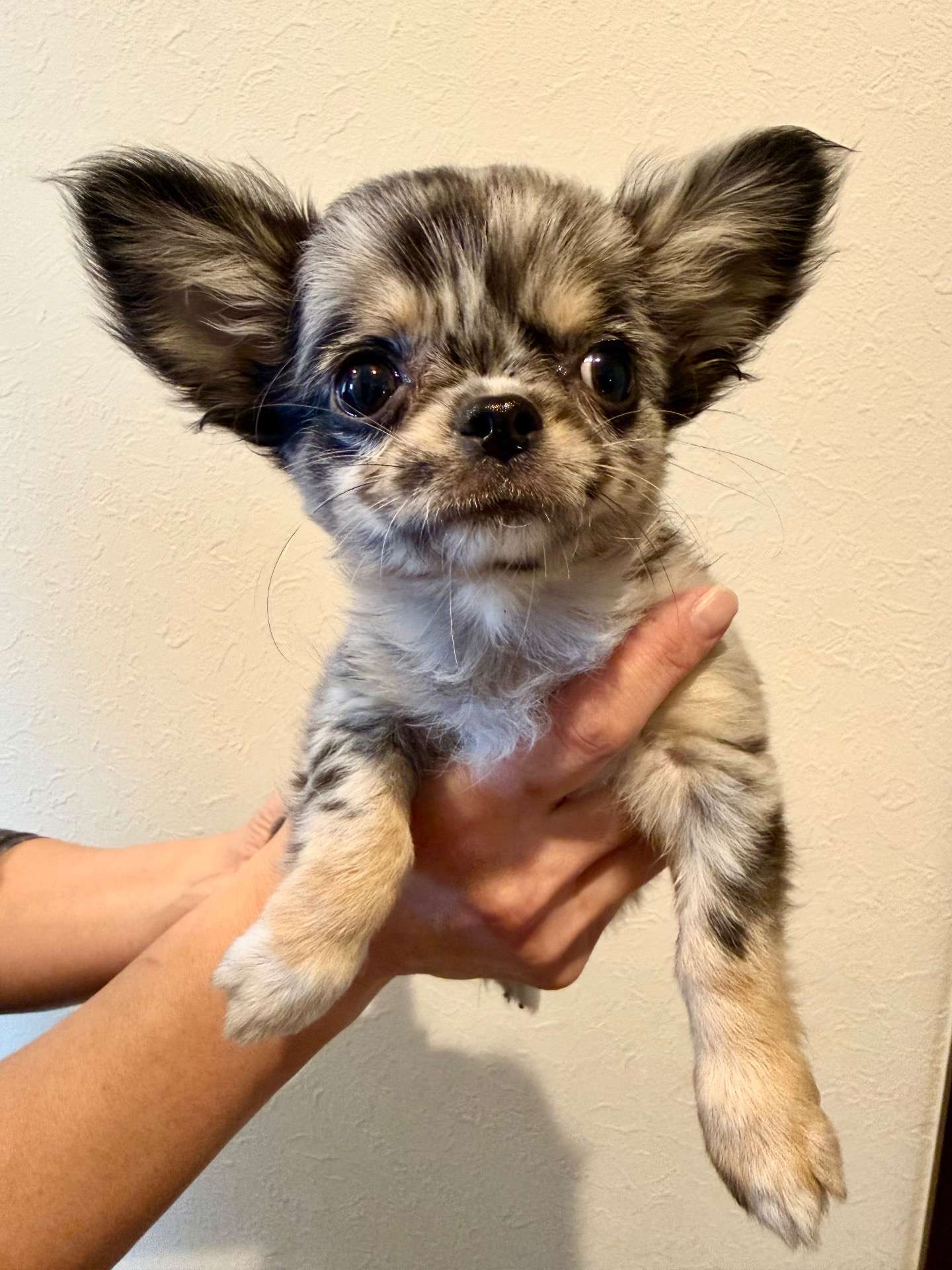 ご家族様が決まりました♪