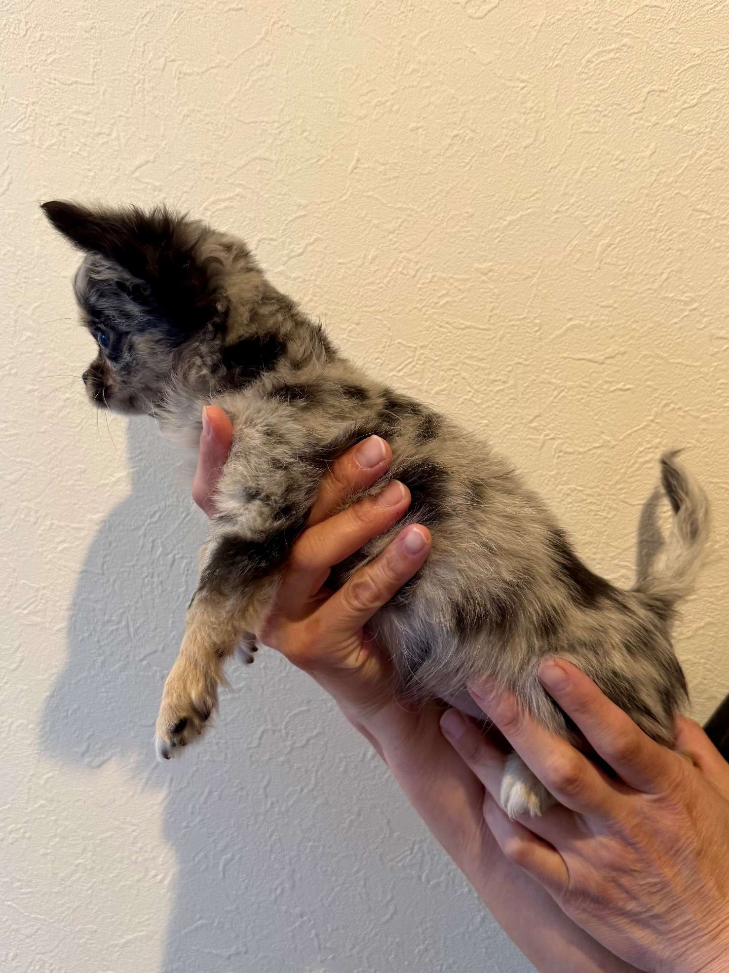 ご家族様が決まりました♪