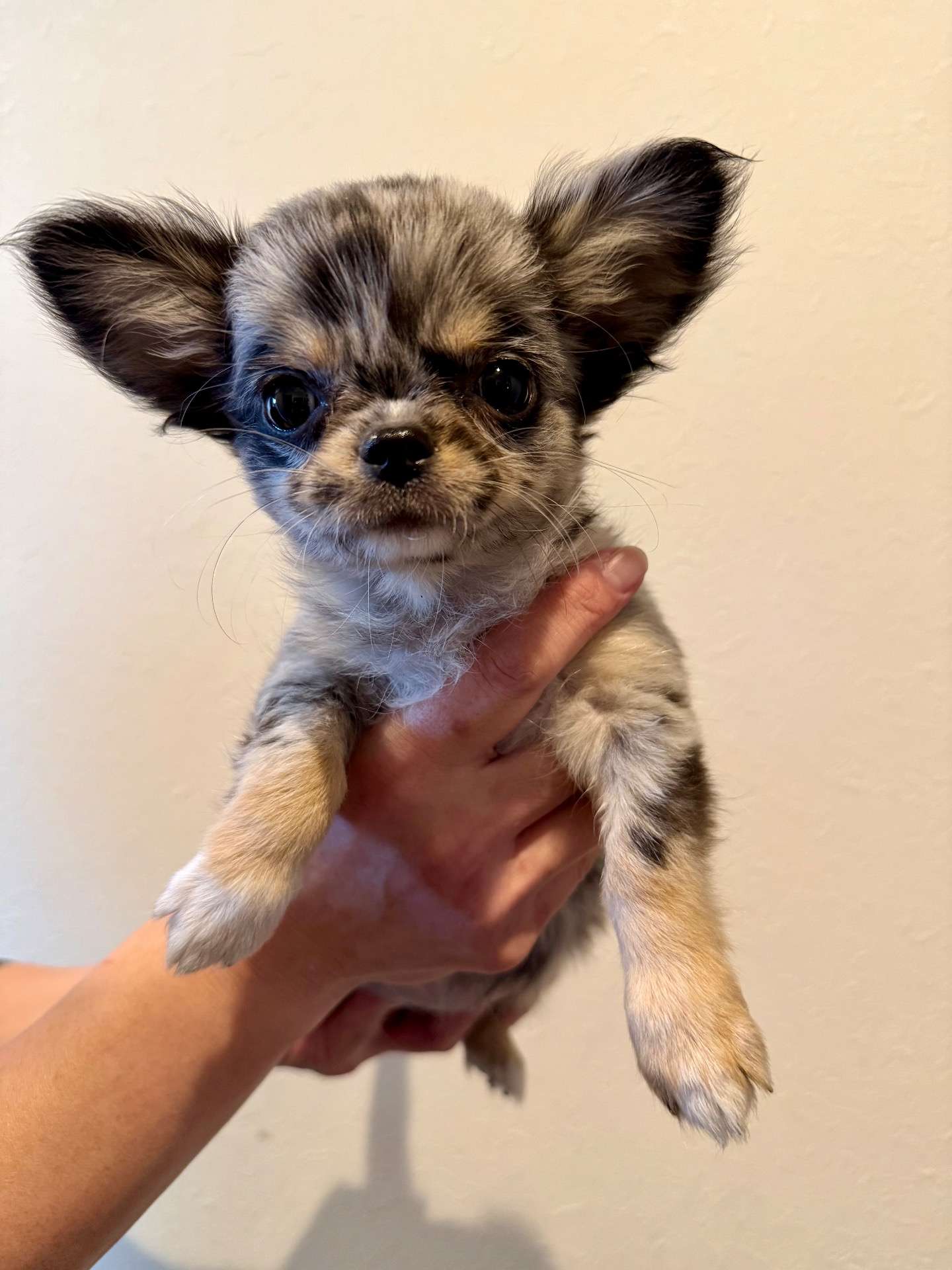 ご家族様が決まりました♪