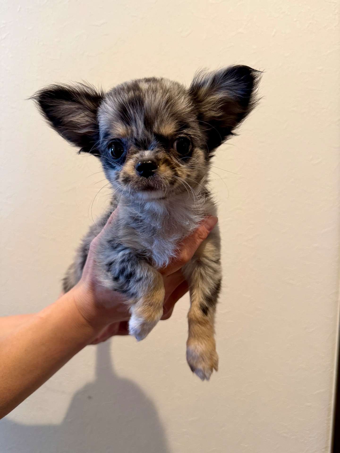 ご家族様が決まりました♪