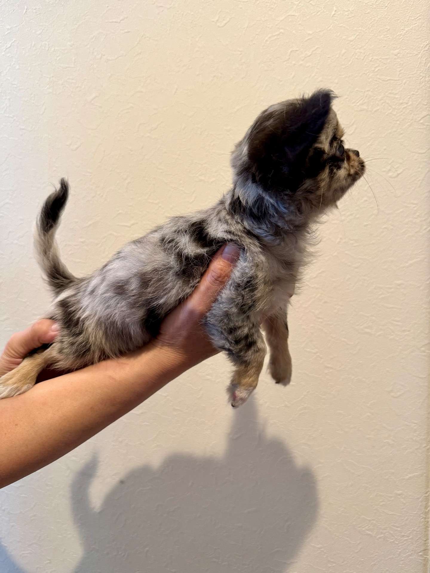 ご家族様が決まりました♪