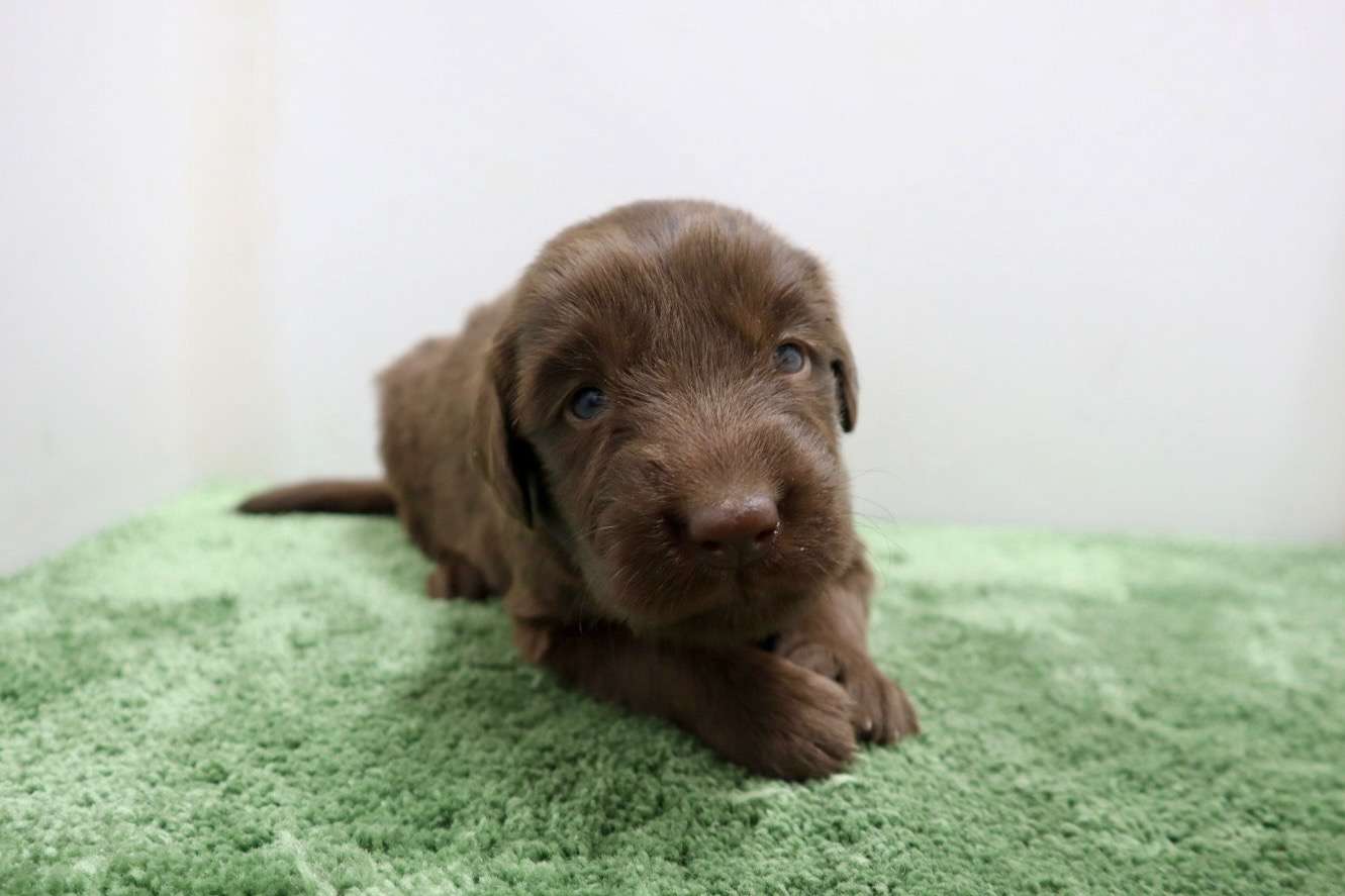 ご家族様が決まりました♪