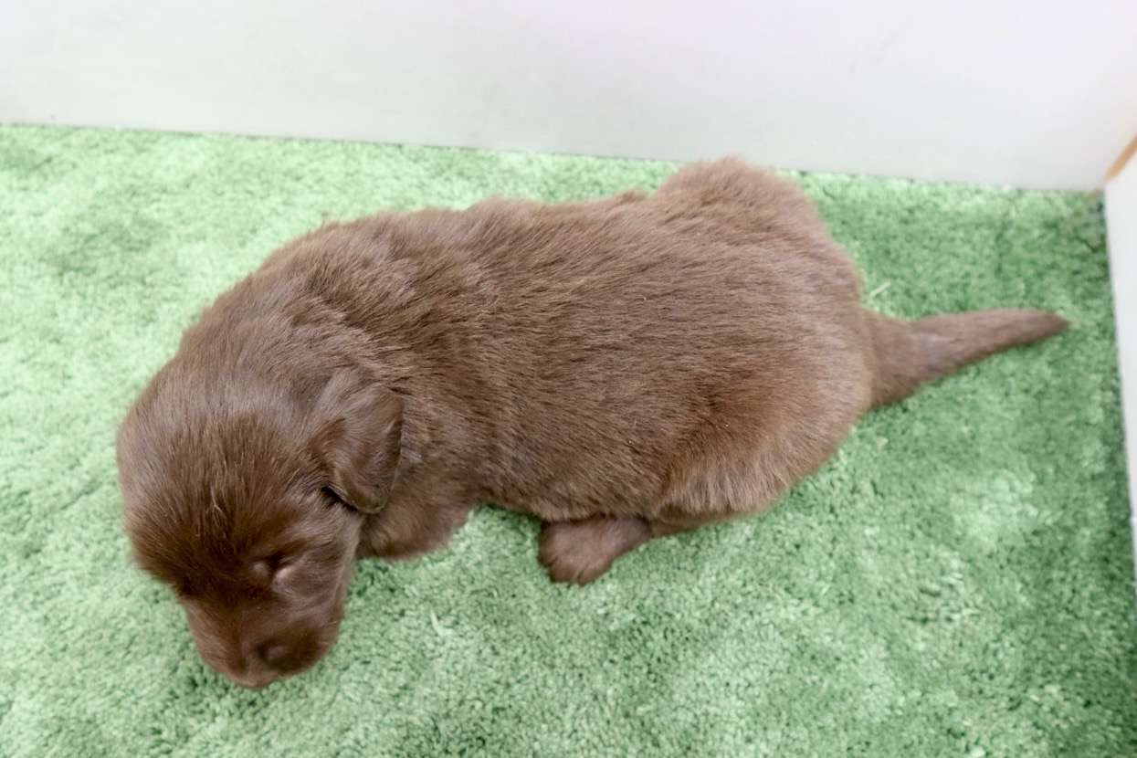 ご家族様が決まりました♪