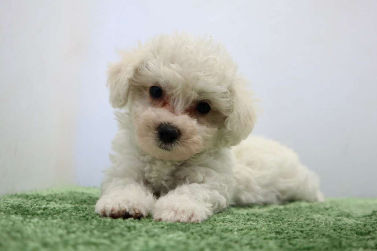 ご家族様が決まりました♪